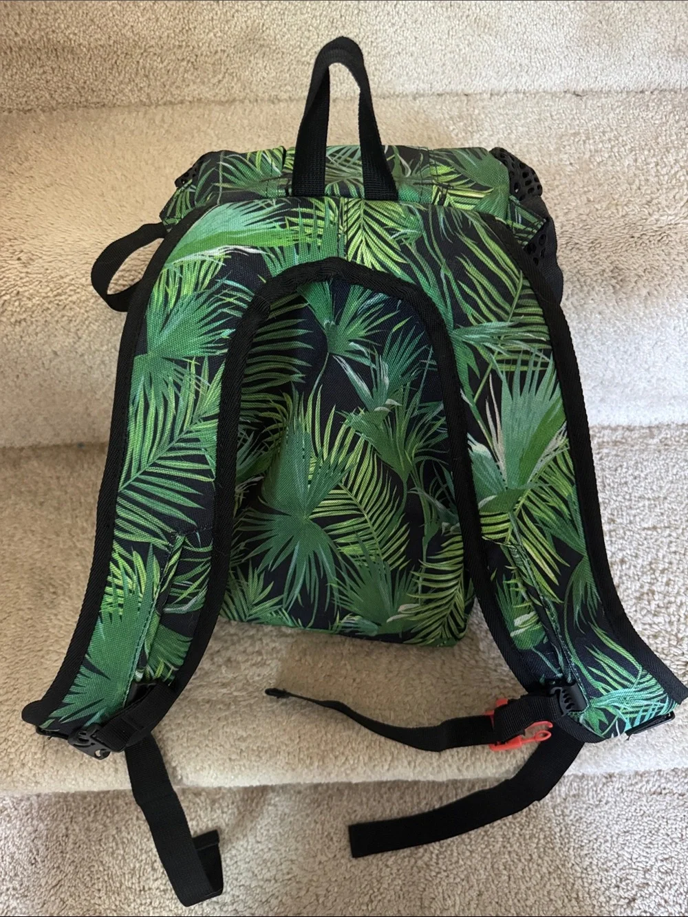 K9 Sport Sack k9 sport